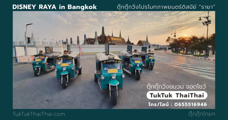 TUKTUK “RAYA” from DISNEY